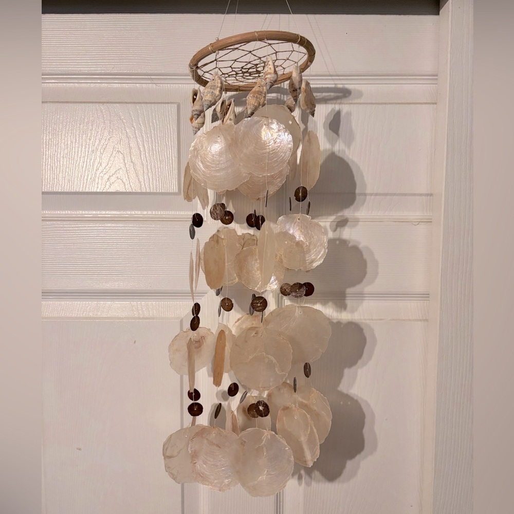 Vintage Capiz and Small Conch Shells